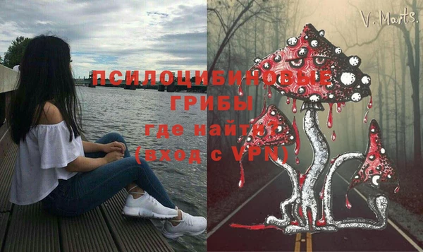 индика Магадан