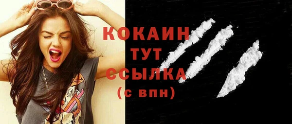 твердый Магас