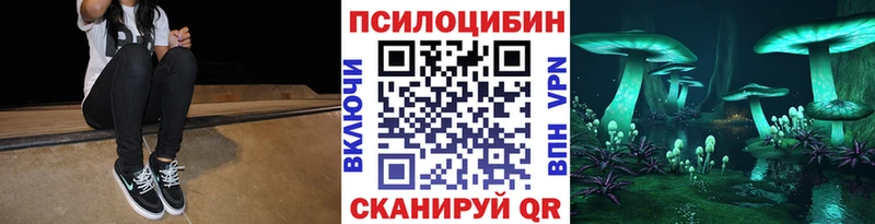 купить наркотик  hydra   Галлюциногенные грибы прущие грибы  Чита 