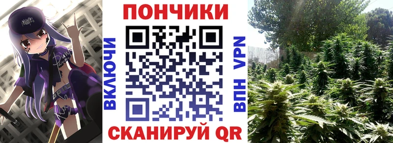 Бошки марихуана OG Kush  Чита 